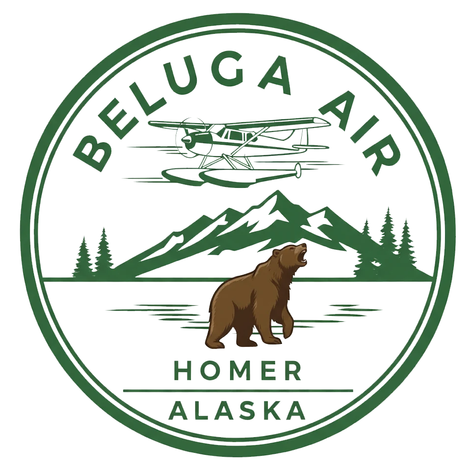 Beluga Air aviation service logo